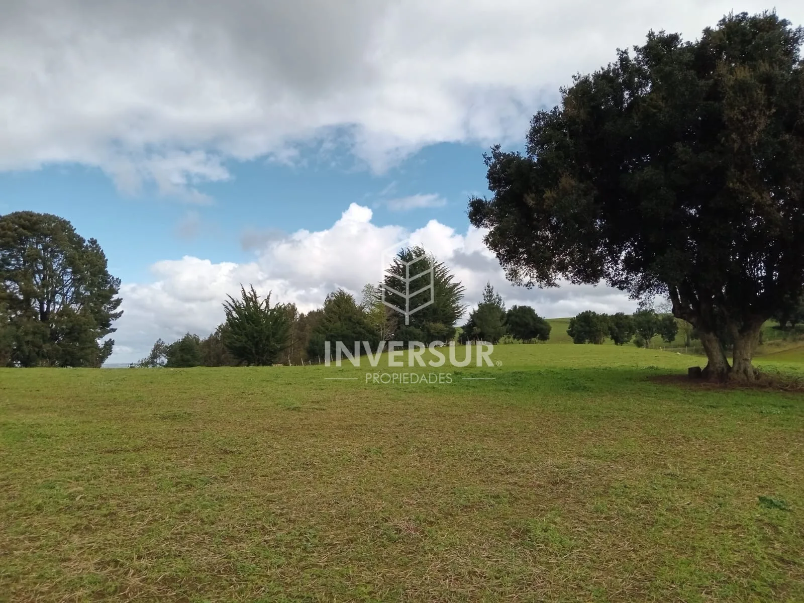 Parcela en venta en La Unión — foto 1