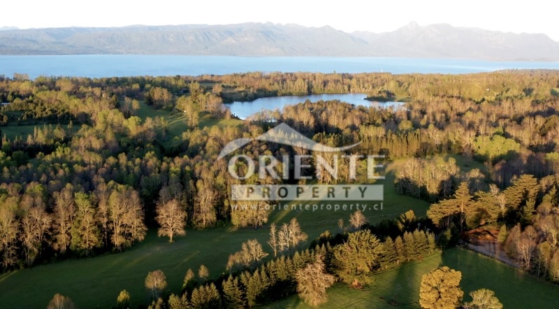 Parcela en venta en Villarrica — foto 4