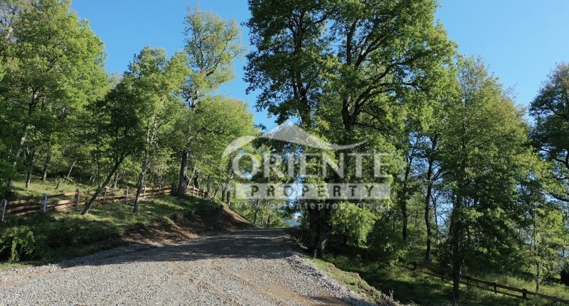 Parcela en venta en Lonquimay — foto 2
