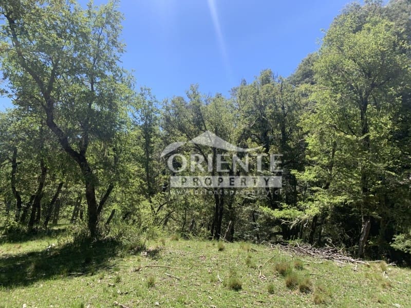 Parcela en venta en Lonquimay — foto 4