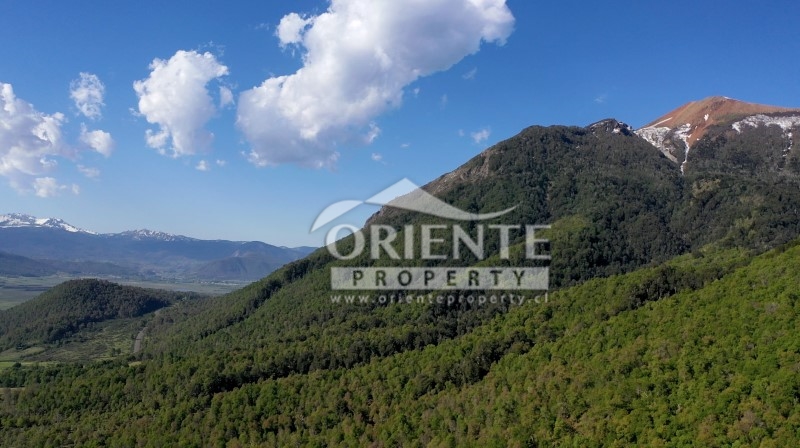 Parcela en venta en Lonquimay — foto 5