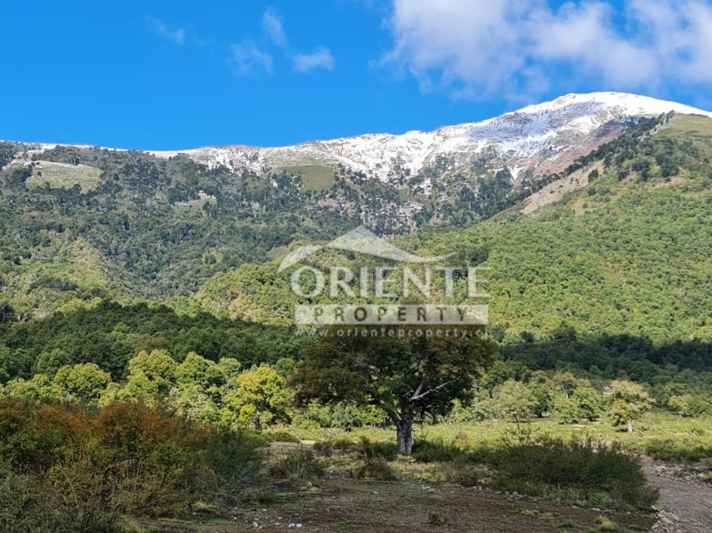 Parcela en venta en Lonquimay — foto 9
