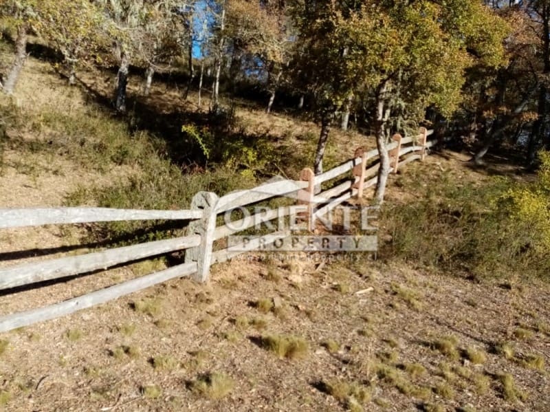 Parcela en venta en Lonquimay — foto 10