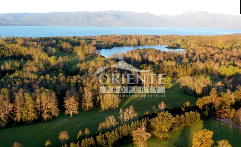 Parcela en venta en Villarrica — foto 2