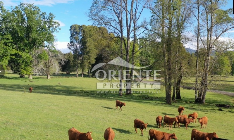 Parcela en venta en Villarrica — foto 3