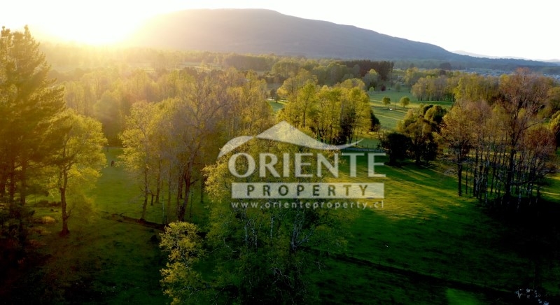 Parcela en venta en Villarrica — foto 8