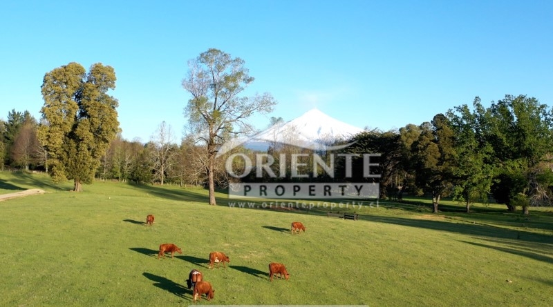Parcela en venta en Villarrica — foto 9