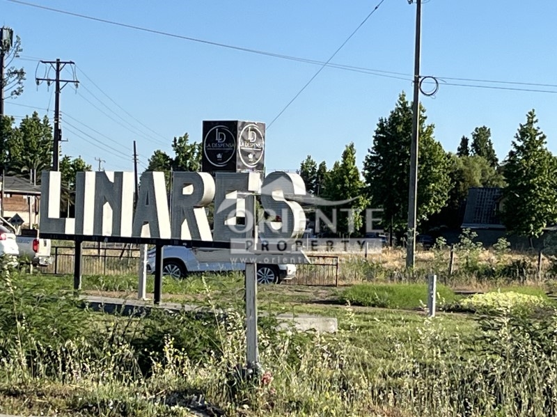 Parcela en venta en Yerbas Buenas — foto 1