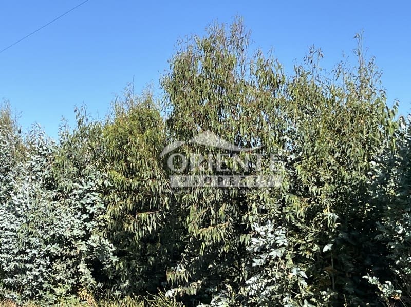 Parcela en venta en Yerbas Buenas — foto 3