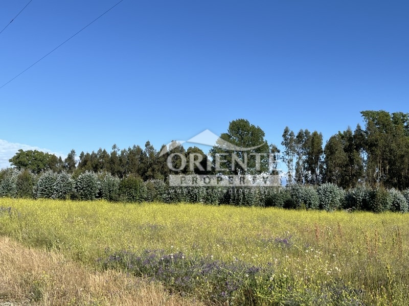 Parcela en venta en Yerbas Buenas — foto 6
