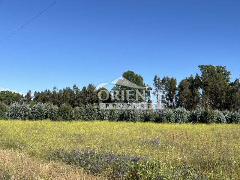 Parcela en venta en Yerbas Buenas — foto 7