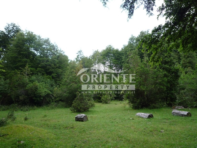 Parcela en venta en Panguipulli — foto 4
