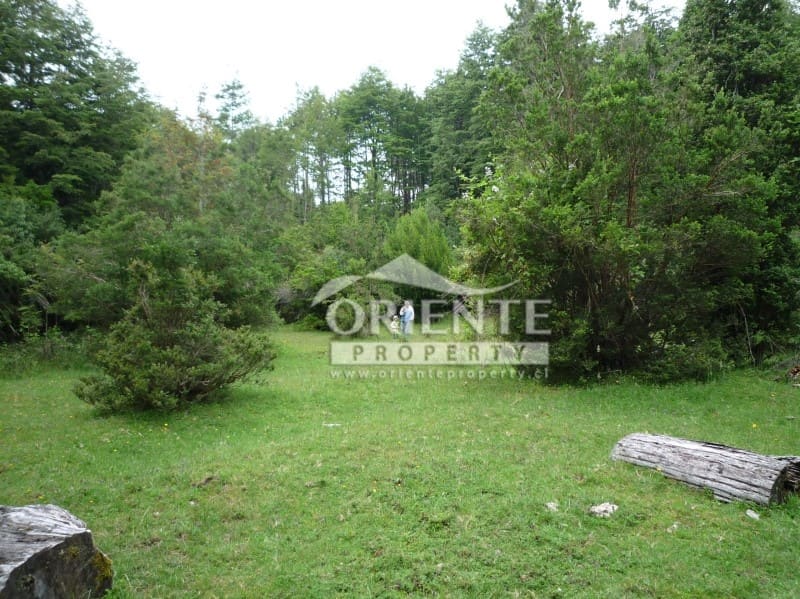 Parcela en venta en Panguipulli — foto 6