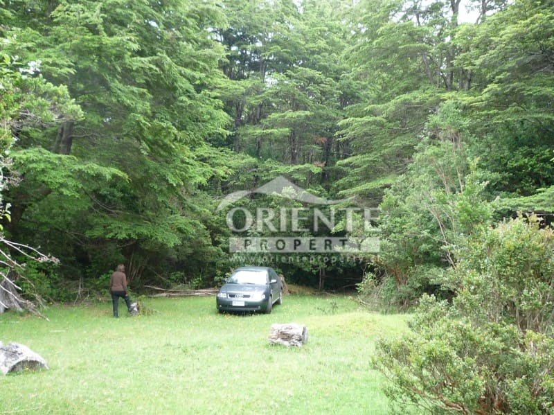 Parcela en venta en Panguipulli — foto 7