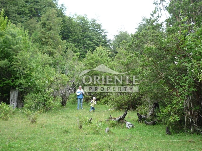 Parcela en venta en Panguipulli — foto 8