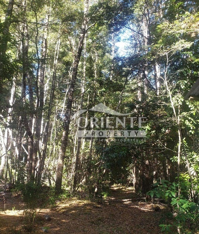 Parcela en venta en Panguipulli — foto 9