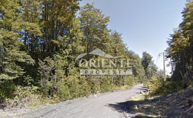 Parcela en venta en Panguipulli — foto 2