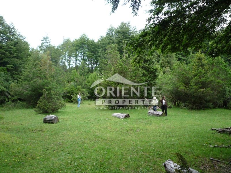 Parcela en venta en Panguipulli — foto 3