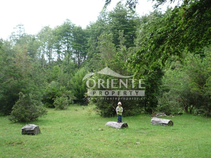 Parcela en venta en Panguipulli — foto 5
