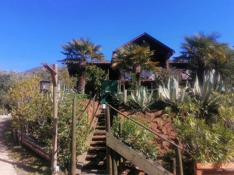 Casa en venta en Curacaví — foto 2