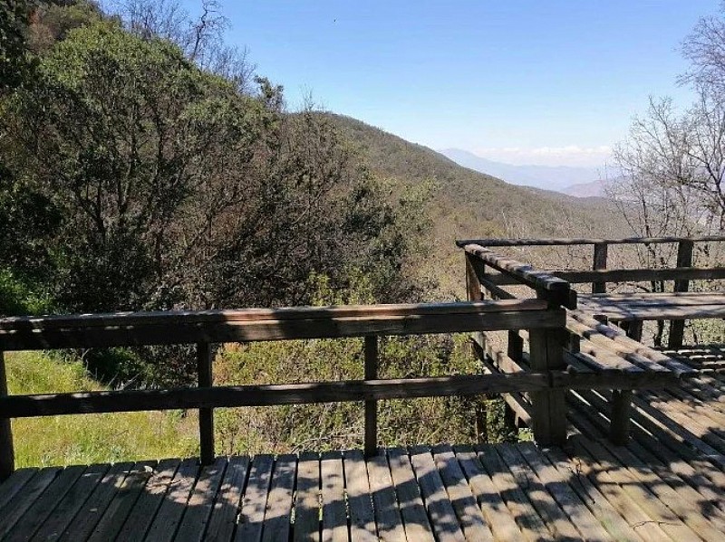 Parcela en venta en Curacaví — foto 4