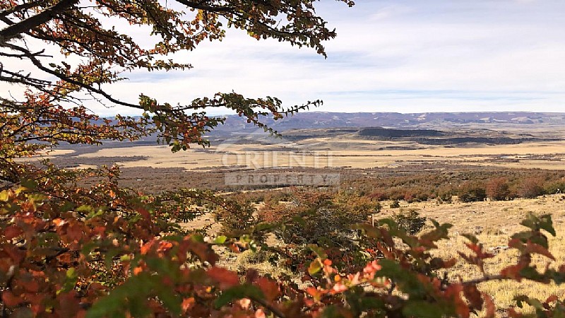 Parcela en venta en Aysén — foto 2