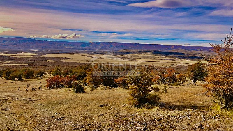 Parcela en venta en Aysén — foto 6