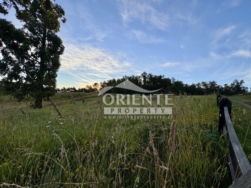 Terreno en venta en Futrono — foto 6