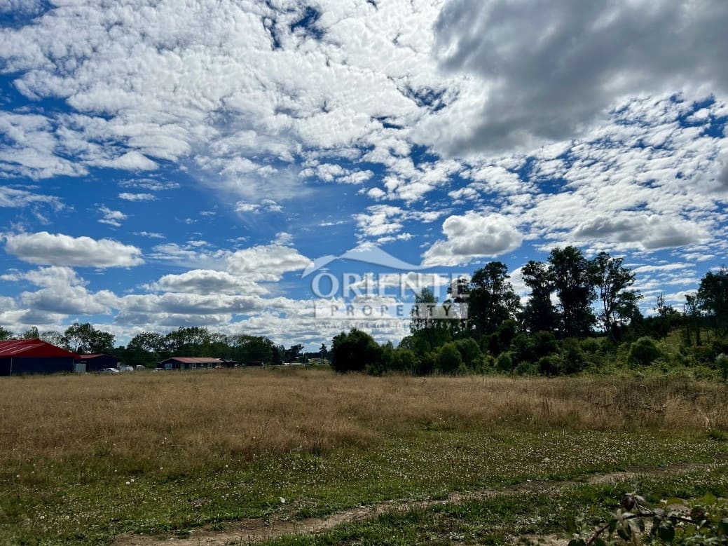 Parcela en venta en Osorno — foto 4