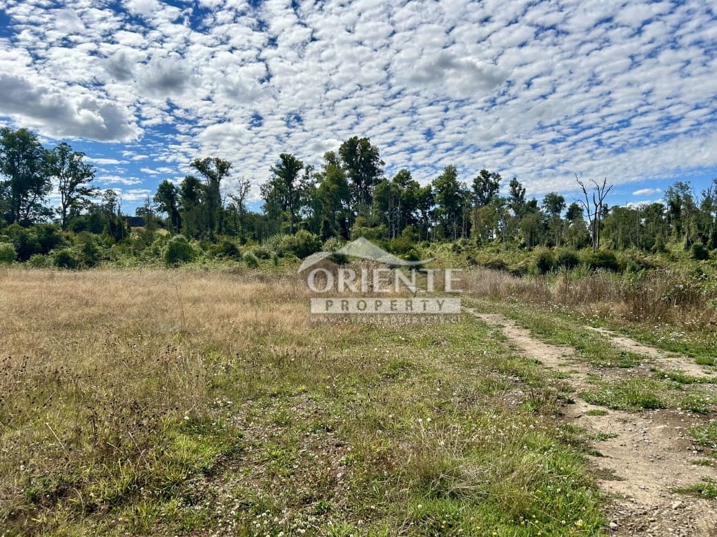Parcela en venta en Osorno — foto 9