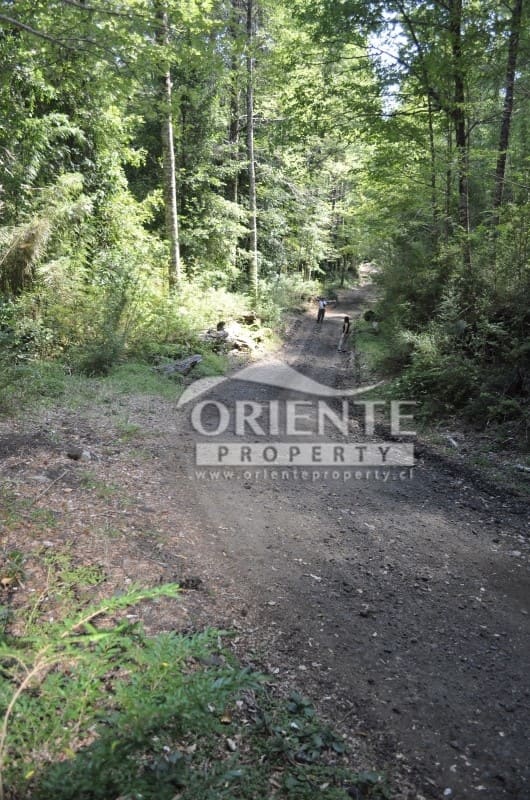 Terreno en venta en Panguipulli — foto 2