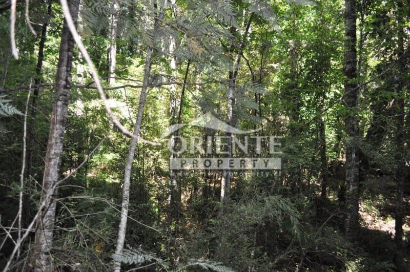 Terreno en venta en Panguipulli — foto 7