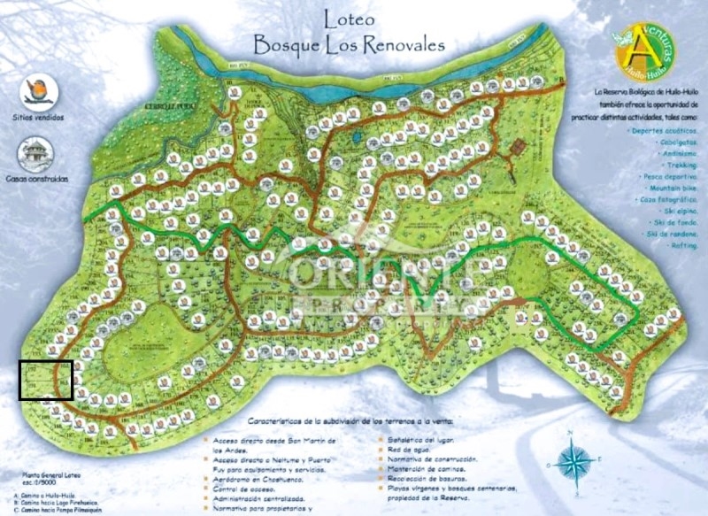 Terreno en venta en Panguipulli — foto 10