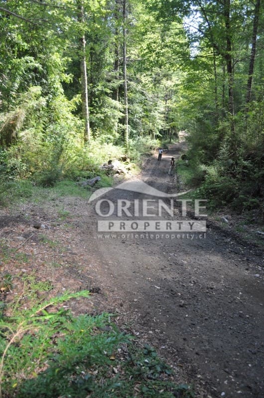 Terreno en venta en Panguipulli — foto 1