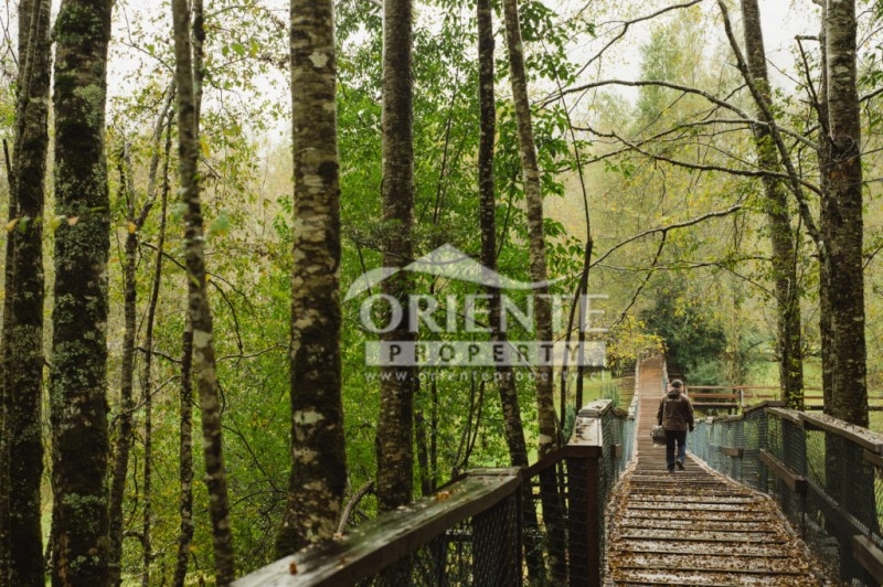 Terreno en venta en Panguipulli — foto 3