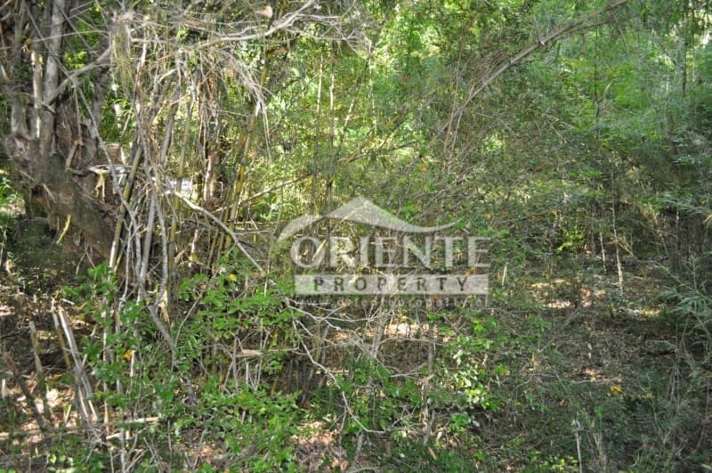 Parcela en venta en Panguipulli — foto 2