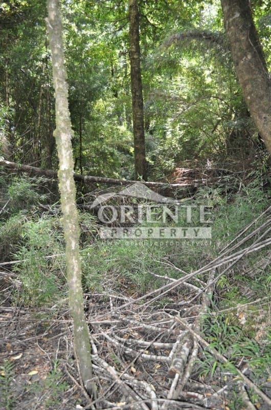 Parcela en venta en Panguipulli — foto 4