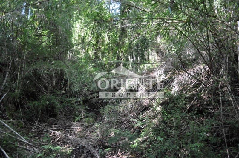 Parcela en venta en Panguipulli — foto 6