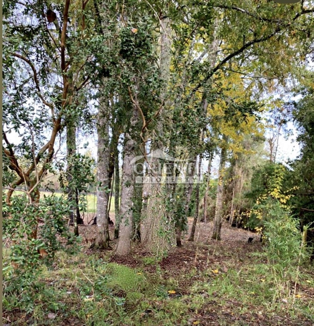 Parcela en venta en Osorno — foto 6