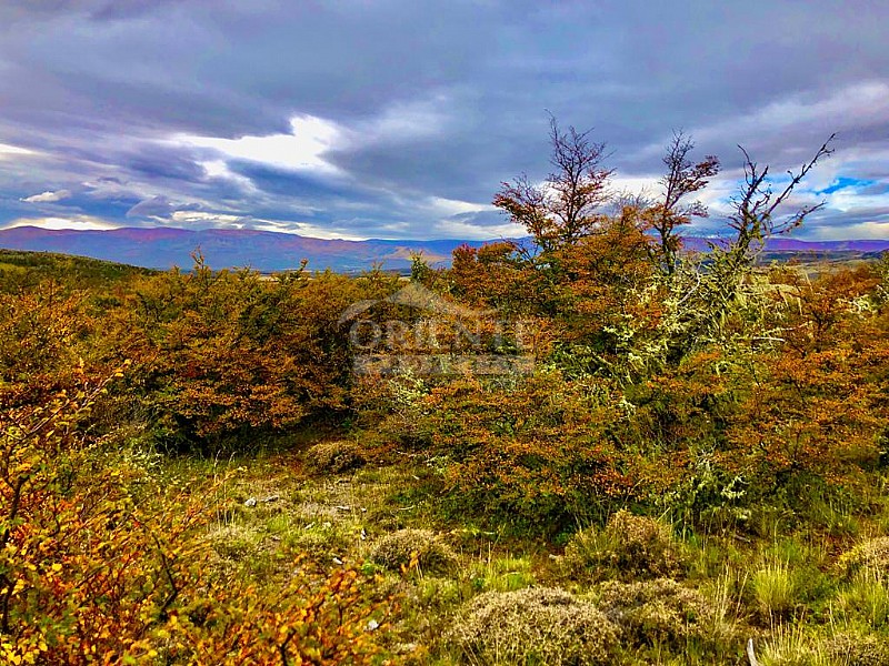 Parcela en venta en Aysén — foto 1