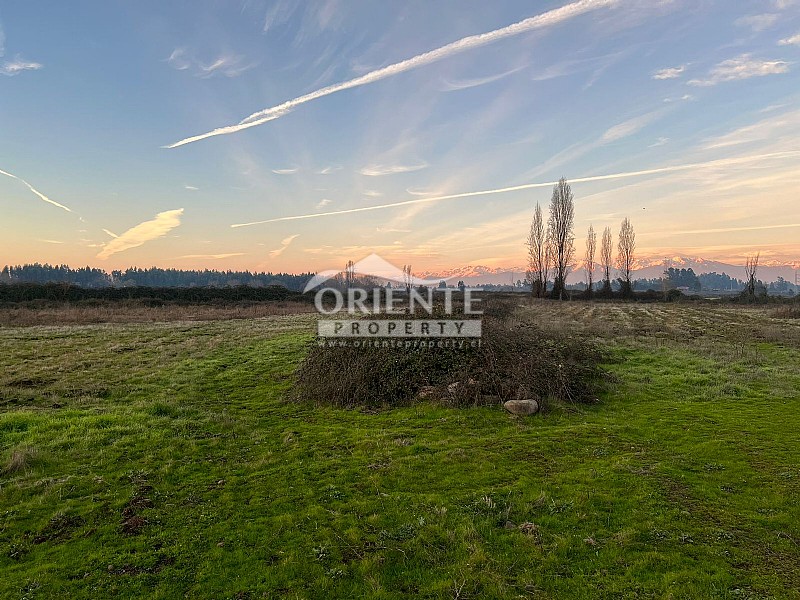 Parcela en venta en Teno — foto 2