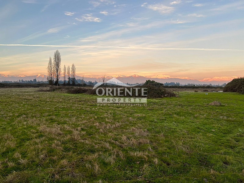 Parcela en venta en Teno — foto 4