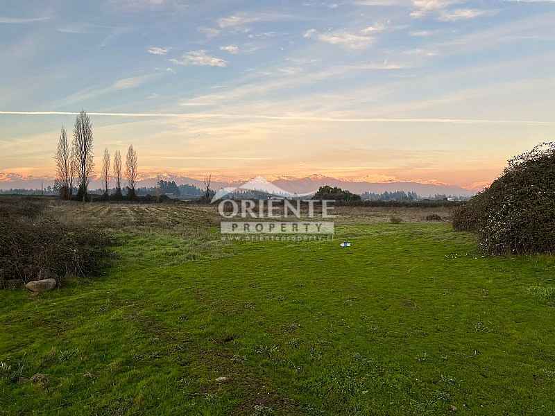 Parcela en venta en Teno — foto 5
