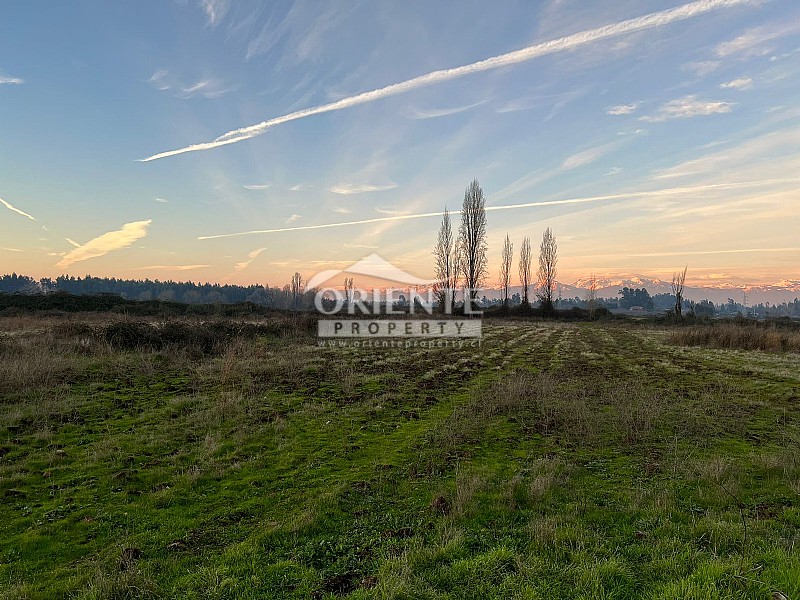 Parcela en venta en Teno — foto 6