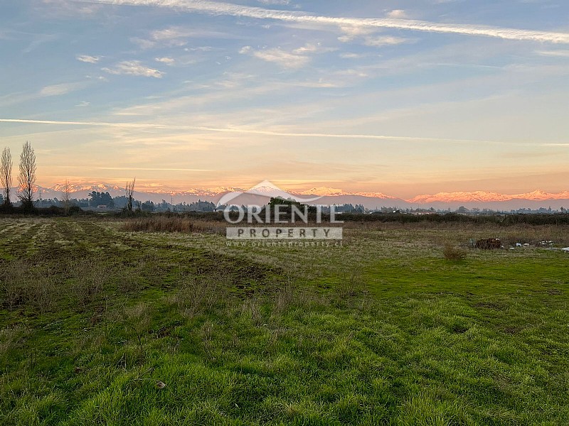 Parcela en venta en Teno — foto 7