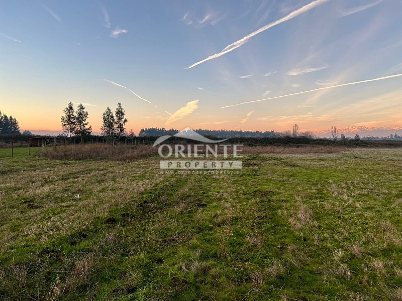Parcela en venta en Teno — foto 8