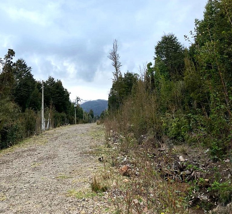 Parcela en venta en Puerto Varas — foto 3