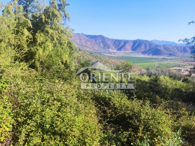 Parcela en venta en Requínoa — foto 1