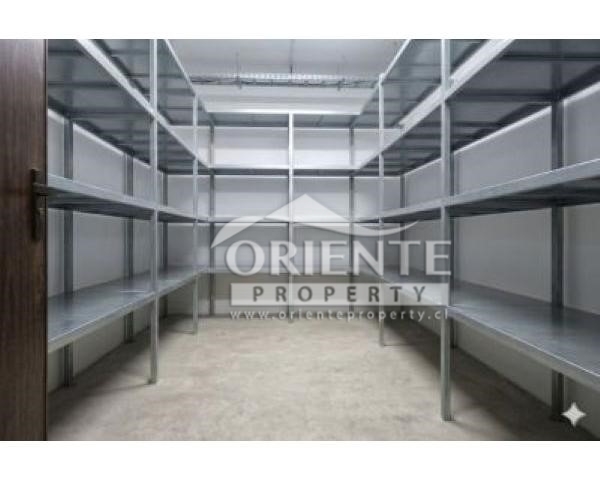Bodega en venta en Santiago — foto 2