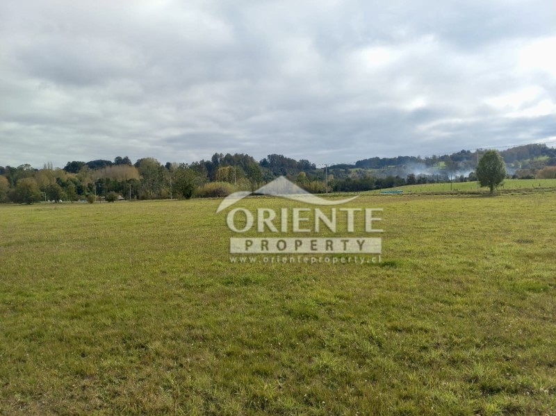 Parcela en venta en Osorno — foto 2